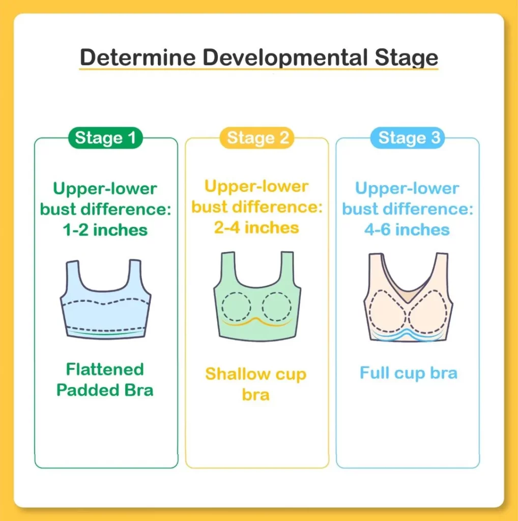 Girl development stages for bras