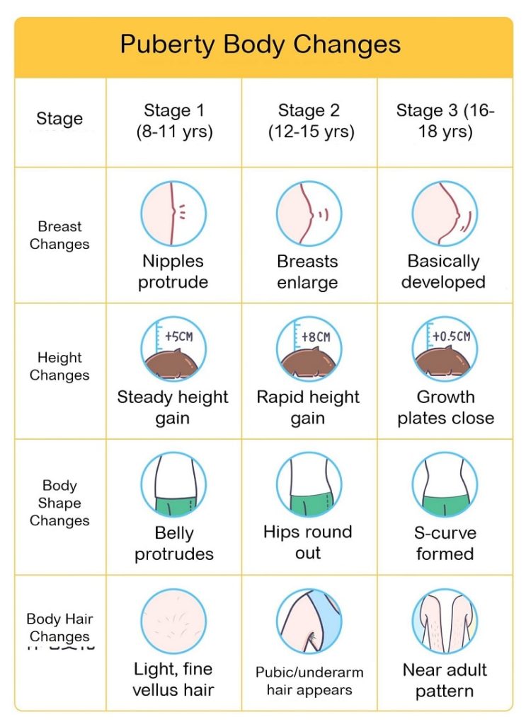 Puberty Body Changes of Girls